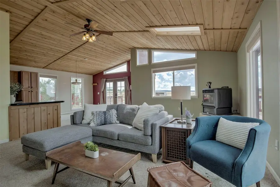 119 Bristlecone Lane, Fairplay, CO 80440 - #2