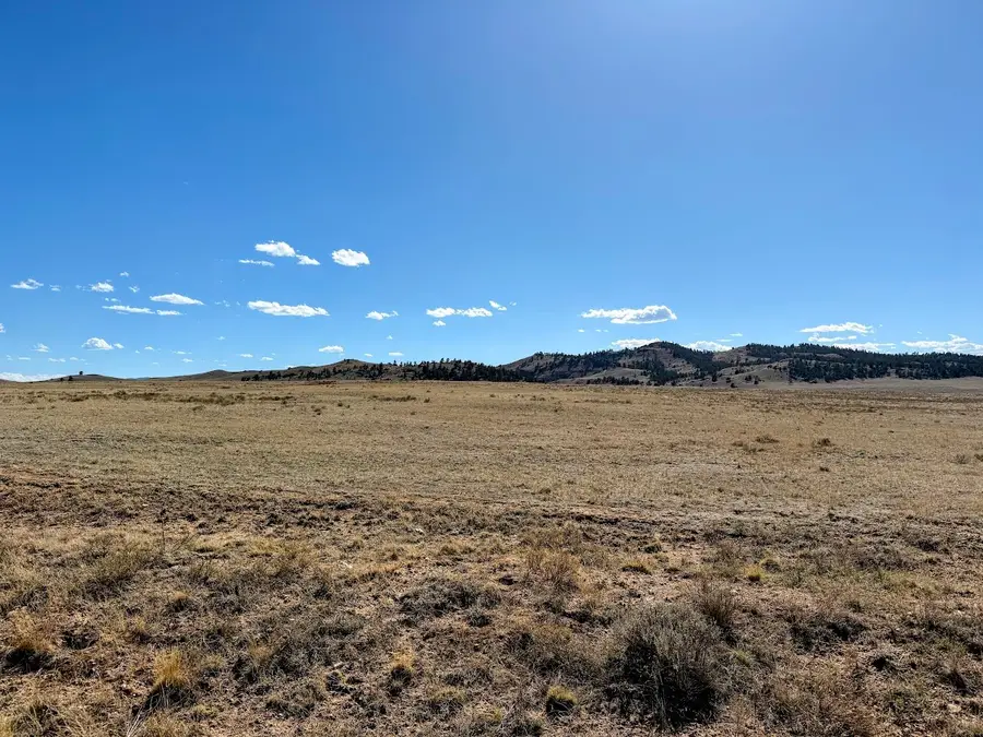 0000 Chickasaw Road, Hartsel, CO 80449 - #2
