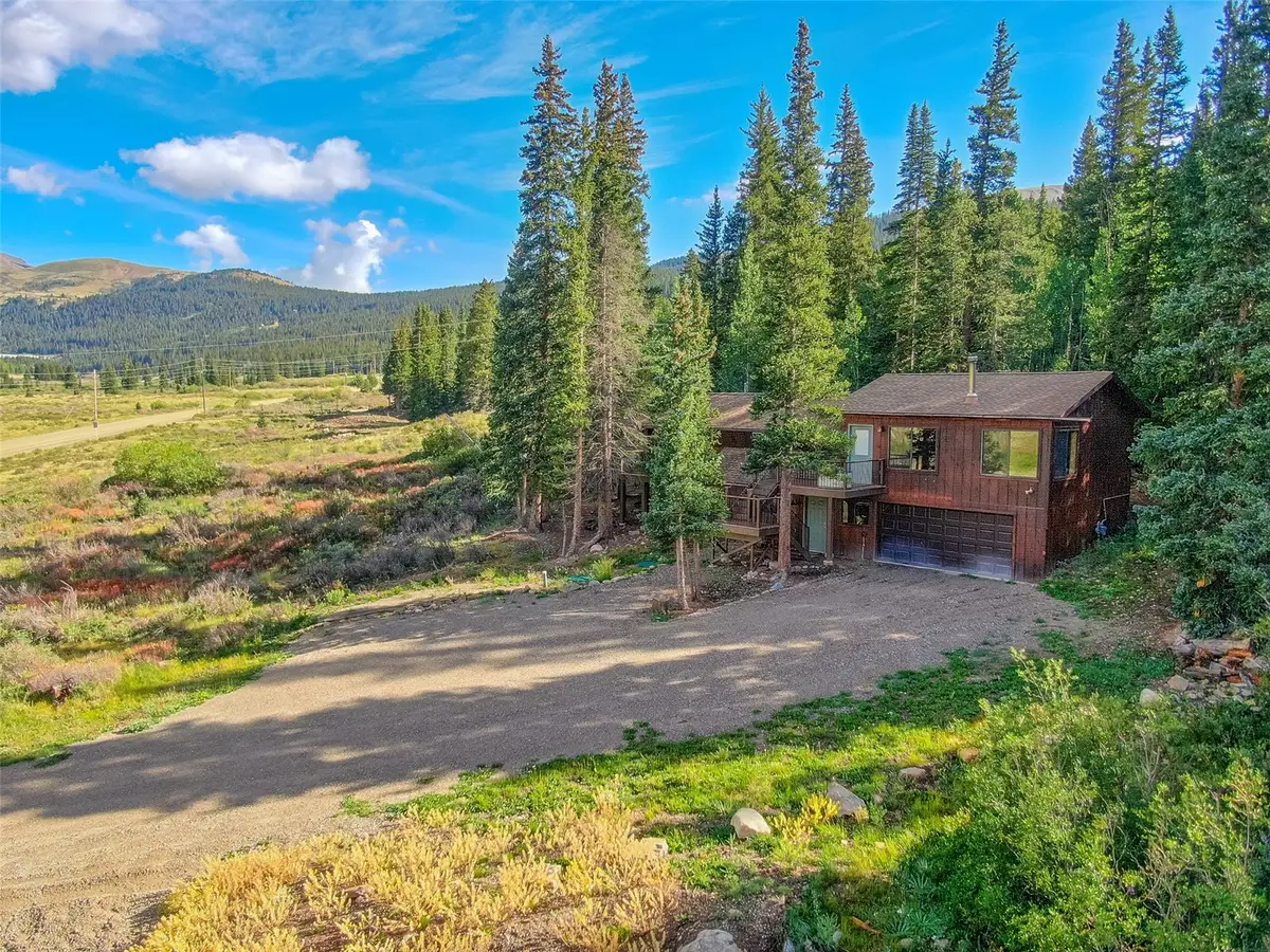 1772 Cr-4, Alma, CO 80440 - #1