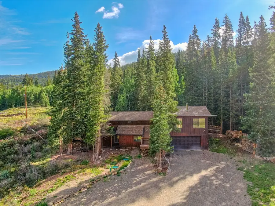 1772 Cr-4, Alma, CO 80440 - #3