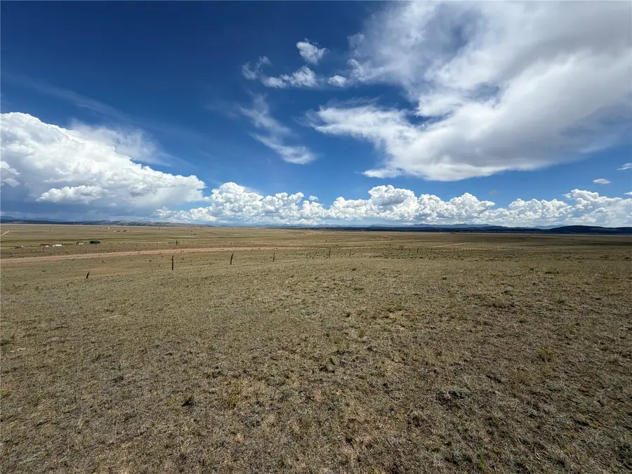 00 Bare Trail, Hartsel, CO 80449 - #3