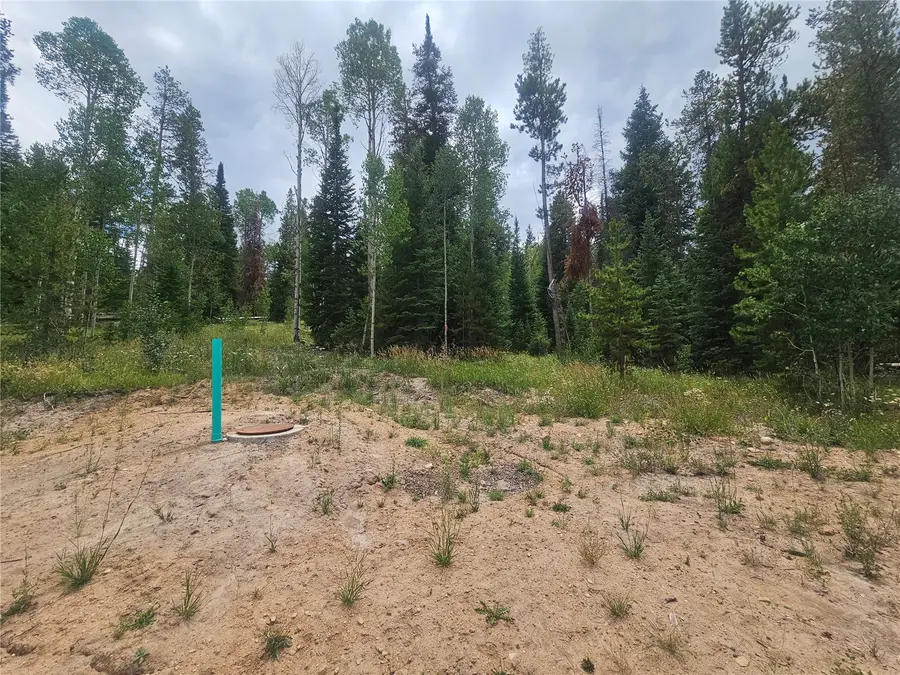 20885 Pinto Way, Oak Creek, CO 80467 - #2