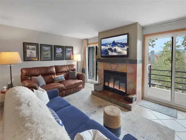 89100 Ryan Gulch Road #301, Silverthorne, CO 80498
