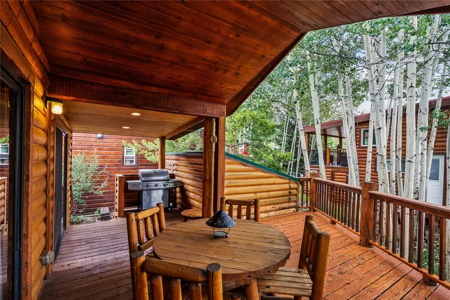 85 Revett Drive #100, Breckenridge, CO 80424 - #3