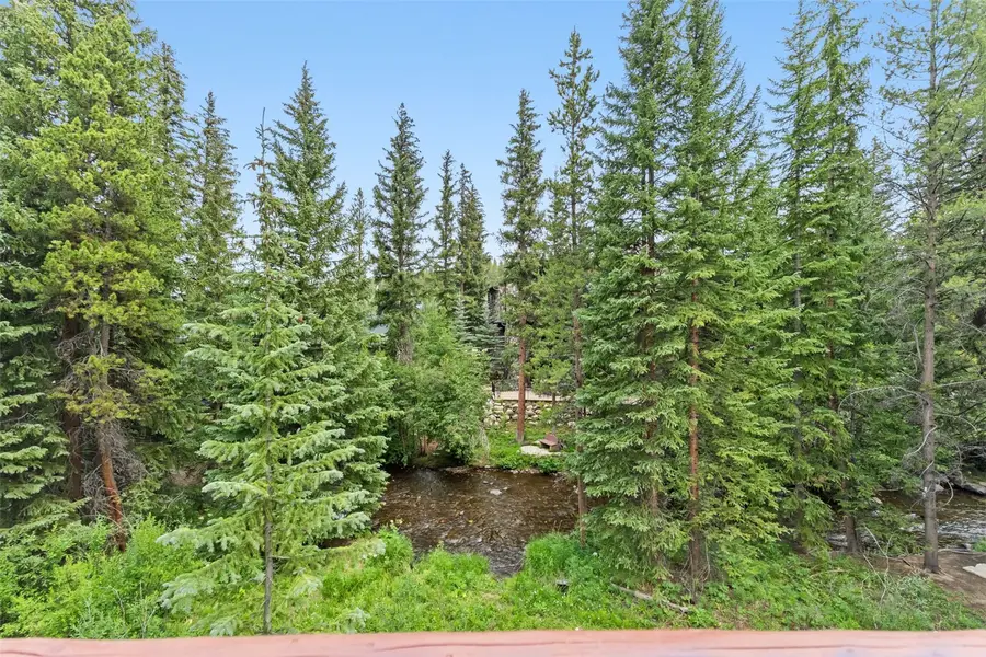 95 Riverwood Drive, Breckenridge, CO 80424 - #3