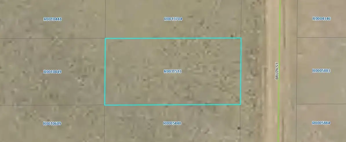 00000 Bruin Street, Hartsel, CO 80449 - #1