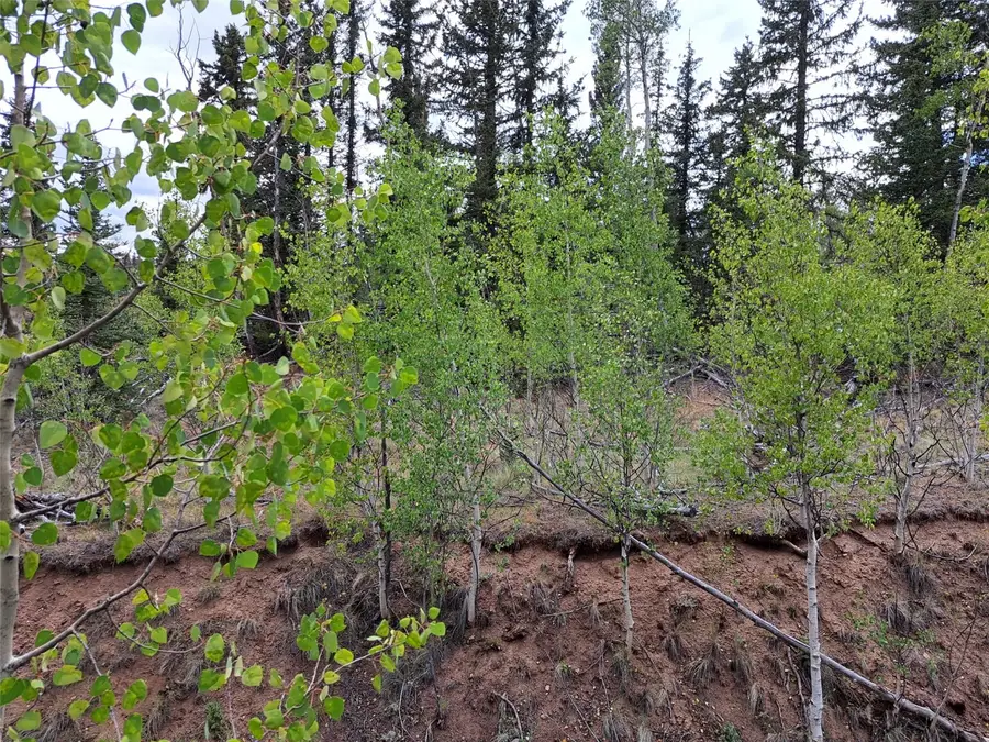 6206 Remington Road, Como, CO 80432 - #2