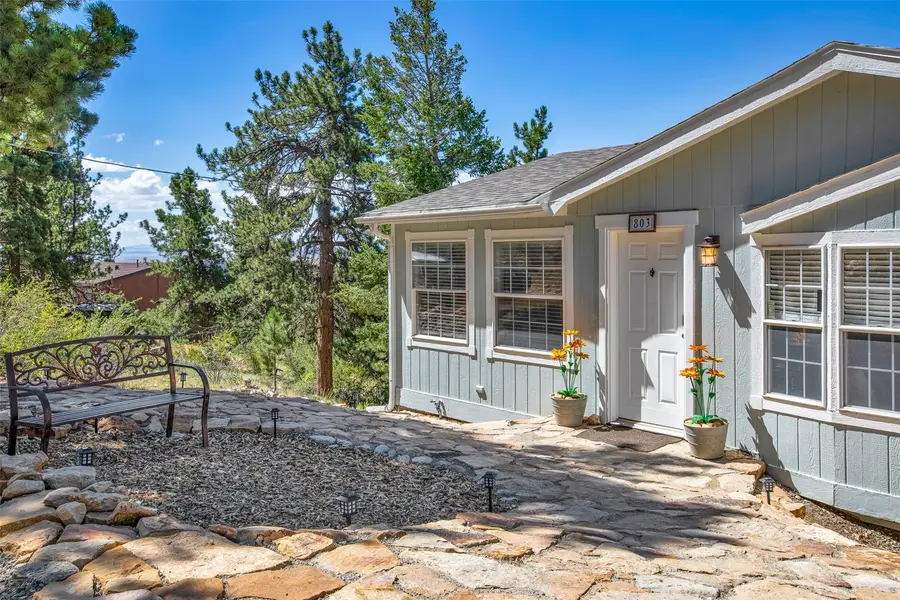 803 Bonell Drive, Fairplay, CO 80440 - #2