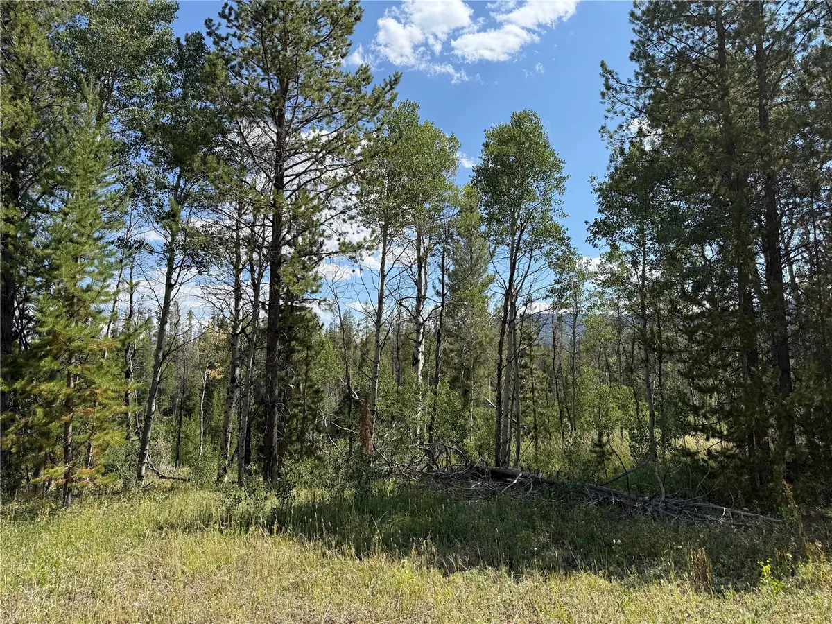 LOT 61 & 62 Big Whip Way, Oak Creek, CO 80467 - #1