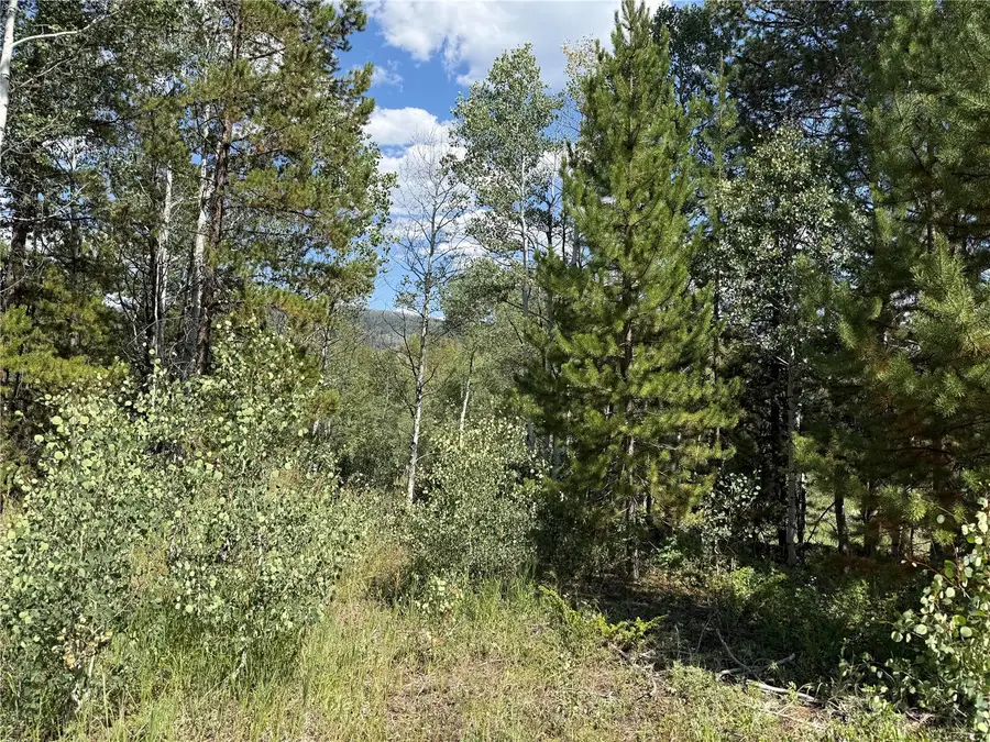 LOT 61 & 62 Big Whip Way, Oak Creek, CO 80467 - #3