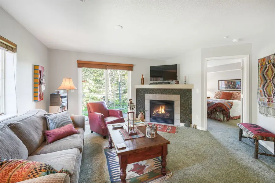 93 Pelican Circle #802, Breckenridge, CO 80424 - #3