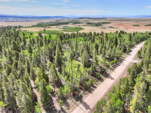 198 Green Bottle Circle, Fairplay, CO 80440