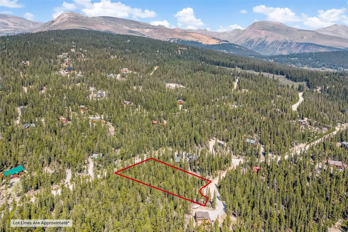 914 Bobcat Lane, Fairplay, CO 80440 - #1