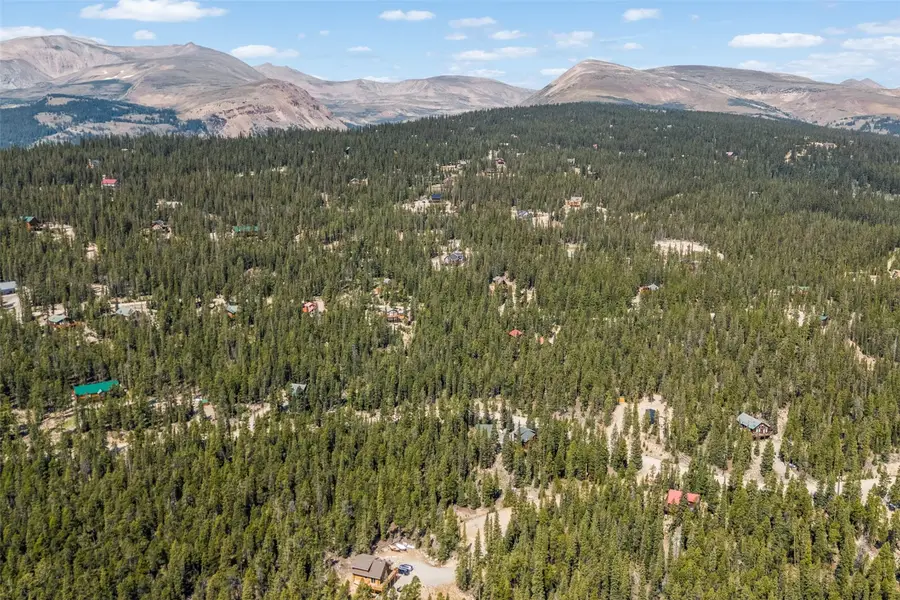 914 Bobcat Lane, Fairplay, CO 80440 - #2