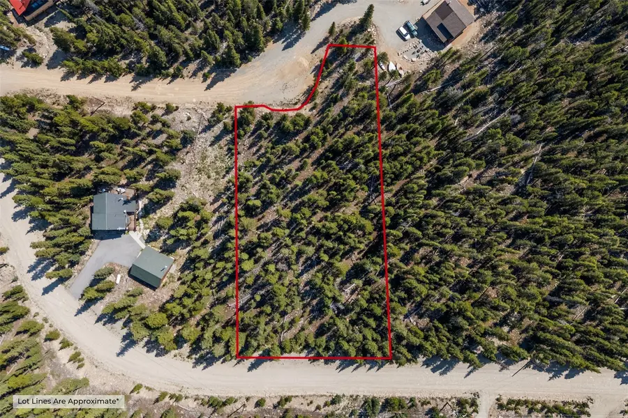 914 Bobcat Lane, Fairplay, CO 80440 - #3
