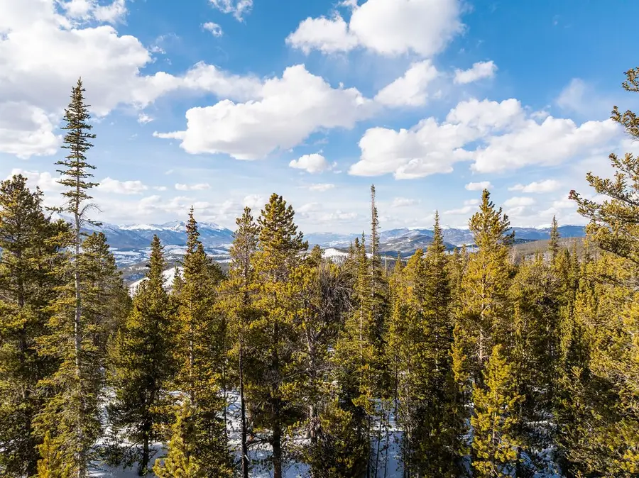 Homestead 17 Cumberland Drive, Breckenridge, CO 80424 - #3