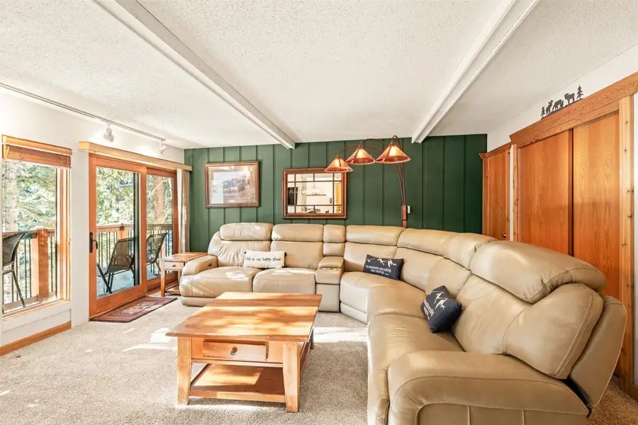 805 Columbine Road #204, Breckenridge, CO 80424 - #2