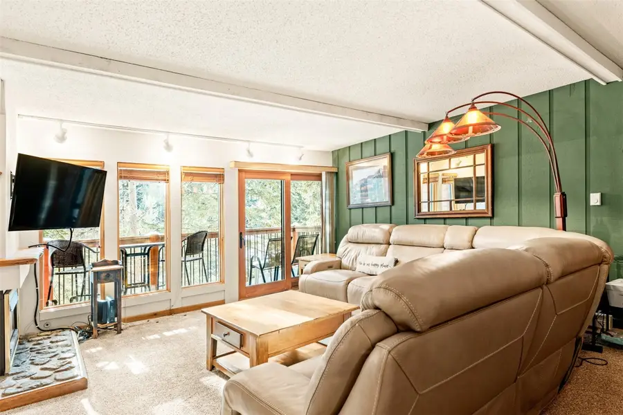 805 Columbine Road #204, Breckenridge, CO 80424 - #3