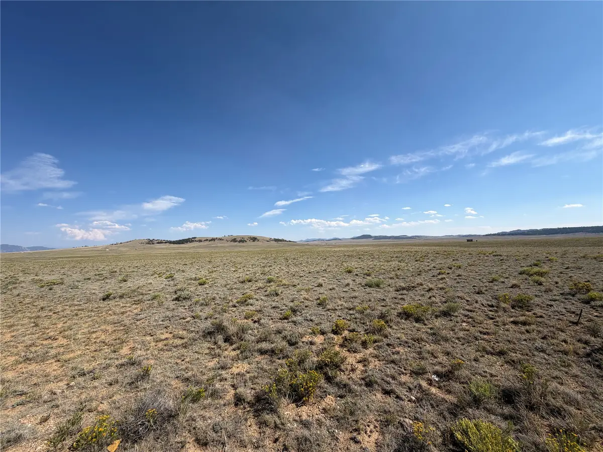 294 Hinsdale Road, Hartsel, CO 80449 - #1