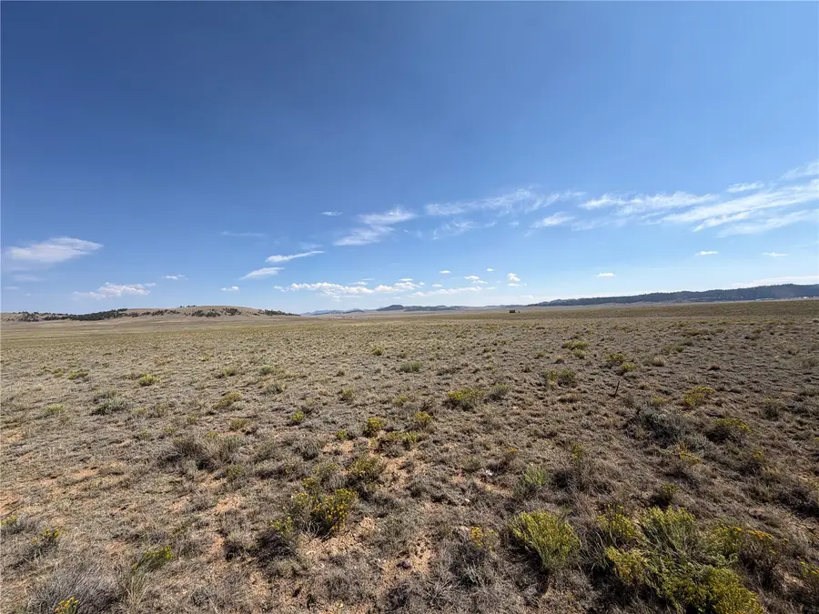 294 Hinsdale Road, Hartsel, CO 80449 - #2