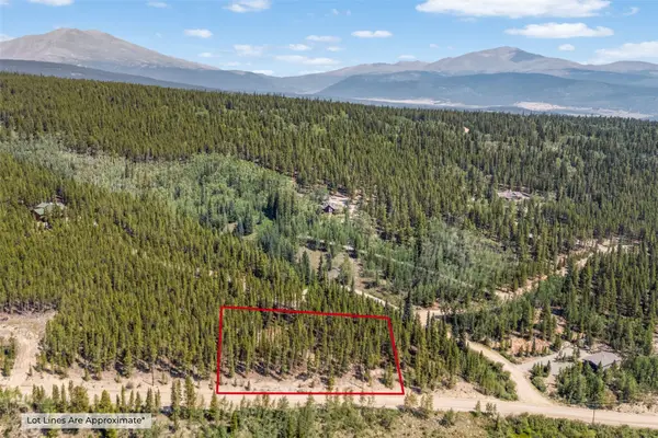 3075 Nugget Road, Fairplay, CO 80440