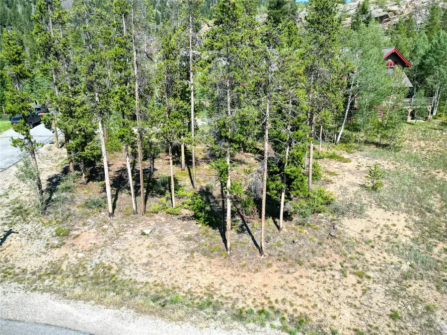 56 Wolf Rock Road, Keystone, CO 80435 - #3