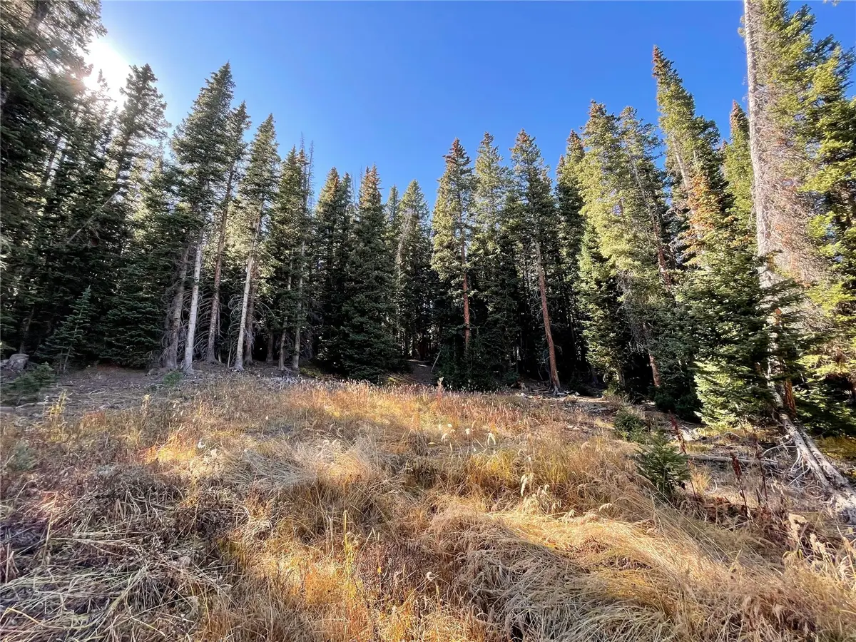 11 Kimmes Lane, Breckenridge, CO 80424 - #1