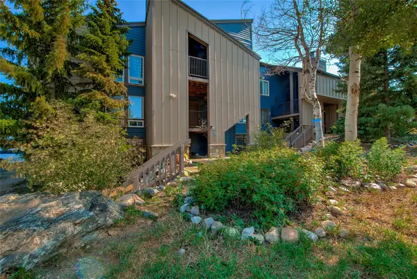 3411 Ryan Gulch Road #3411, Silverthorne, CO 80498