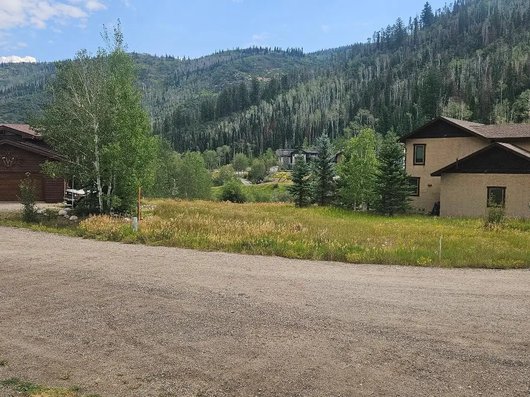 31580 Buckingham Lane, Steamboat Springs, CO 80487 - #1