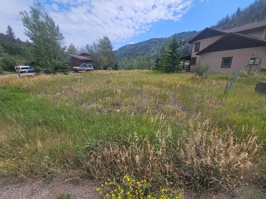 31580 Buckingham Lane, Steamboat Springs, CO 80487 - #2