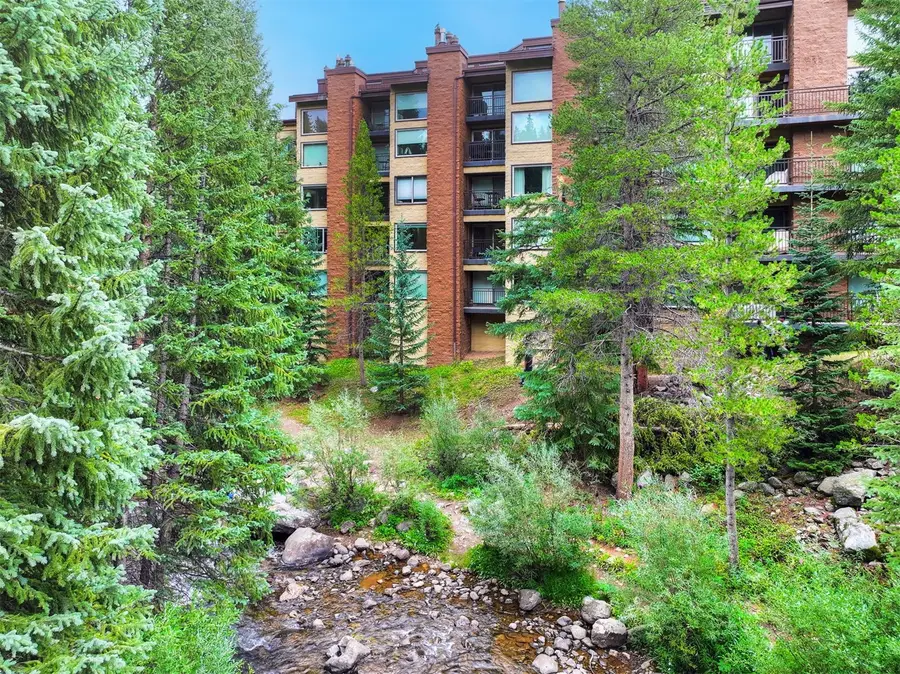 755 Columbine Road #B203, Breckenridge, CO 80424 - #2