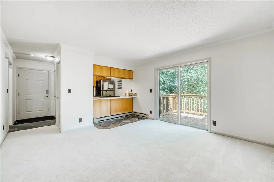 300 Illinois Gulch Road #A210, Breckenridge, CO 80424 - #2