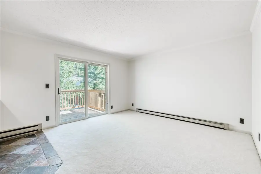 300 Illinois Gulch Road #A210, Breckenridge, CO 80424 - #3