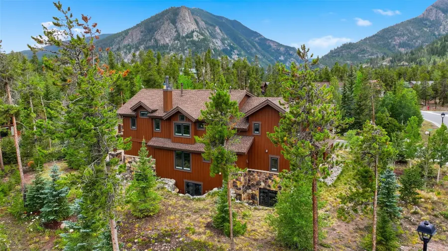 164 Rose Crown Circle, Frisco, CO 80443 - #3