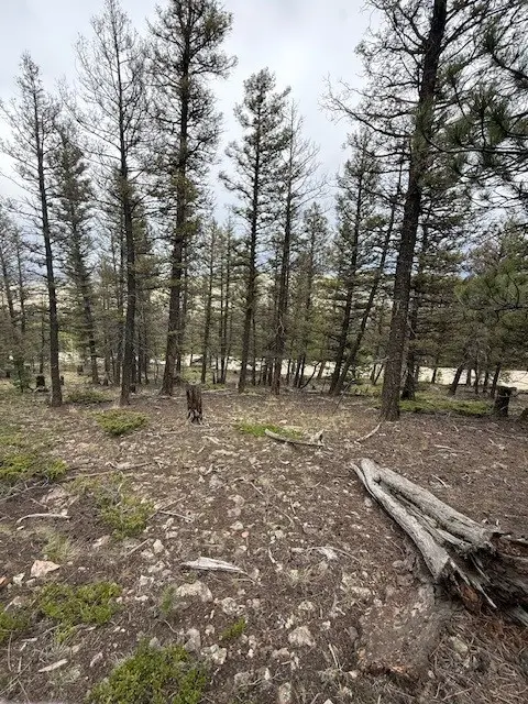 2689 Redhill Road, Fairplay, CO 80440 - #1