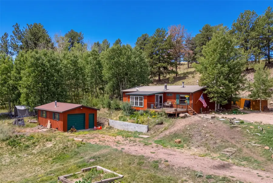 242 Poplar Lane, Guffey, CO 80820 - #3