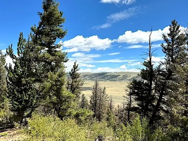 2022 Middle Fork, Fairplay, CO 80440