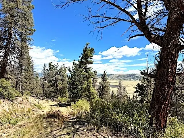 2022 Middle Fork, Fairplay, CO 80440 - #2