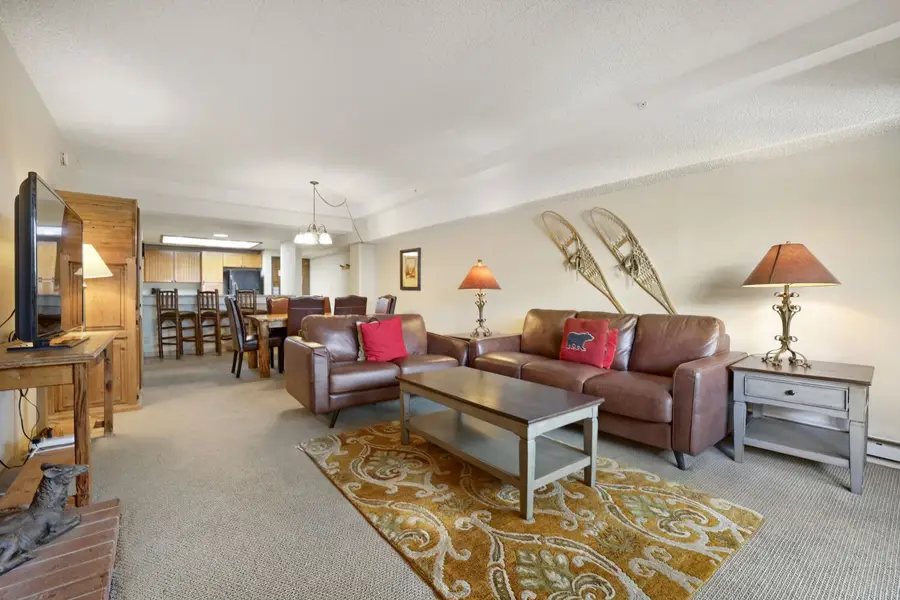 555 S Park Avenue #2205, Breckenridge, CO 80424 - #3