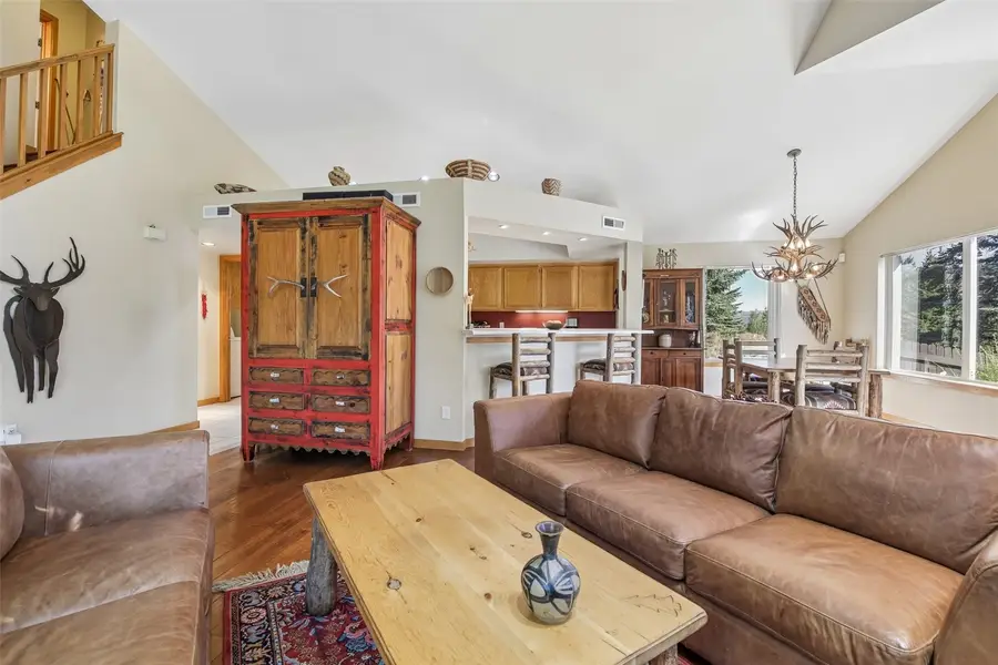 102 Blue Grouse Lane, Silverthorne, CO 80498 - #3