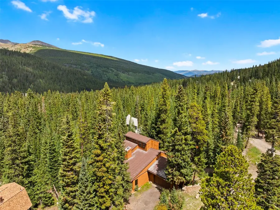 321 Doris Drive, Breckenridge, CO 80424 - #2