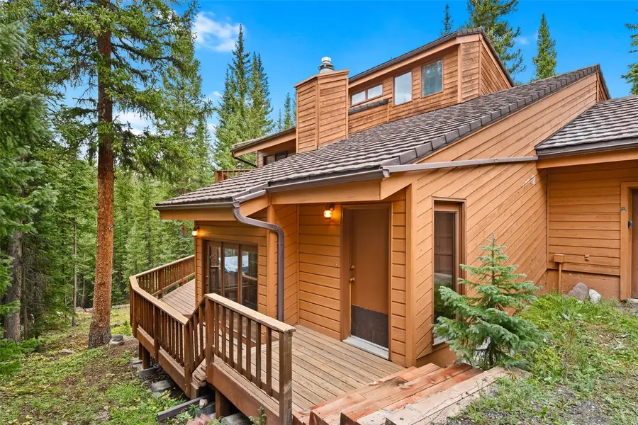 321 Doris Drive, Breckenridge, CO 80424 - #3