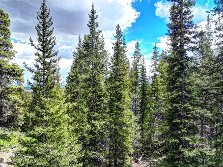 0 Dry Gulch Road, Fairplay, CO 80440 - #2