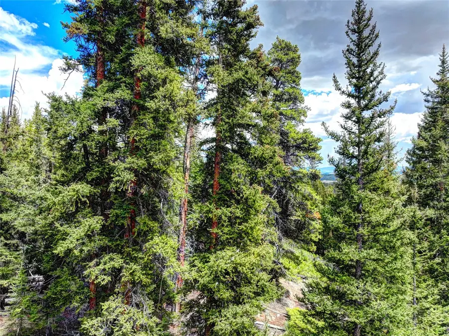 0 Dry Gulch Road, Fairplay, CO 80440 - #3