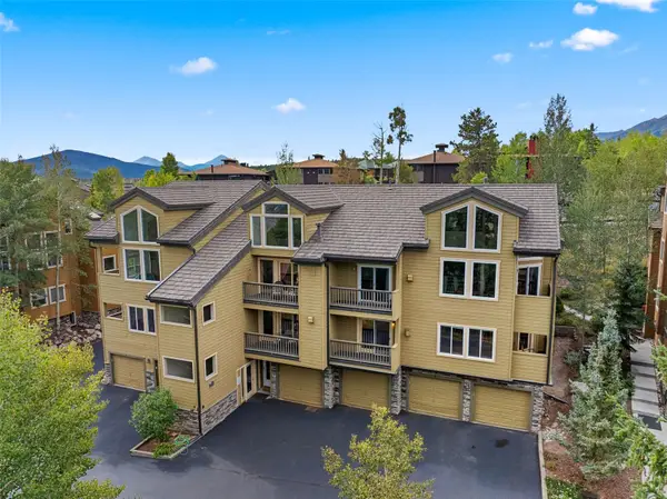 4020 Silverheels Drive #9, Silverthorne, CO 80498