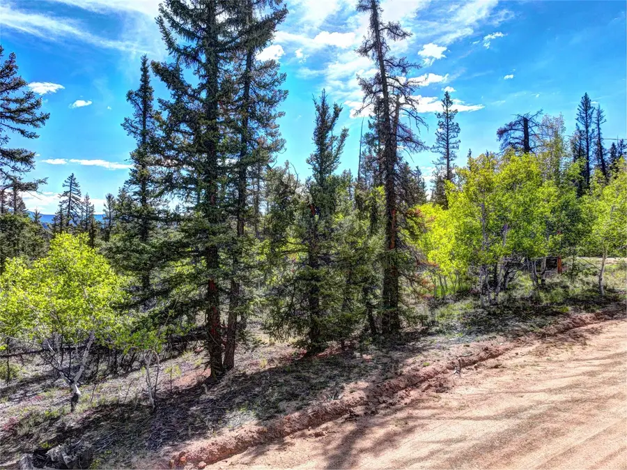 820 Overland Circle, Jefferson, CO 80456 - #3