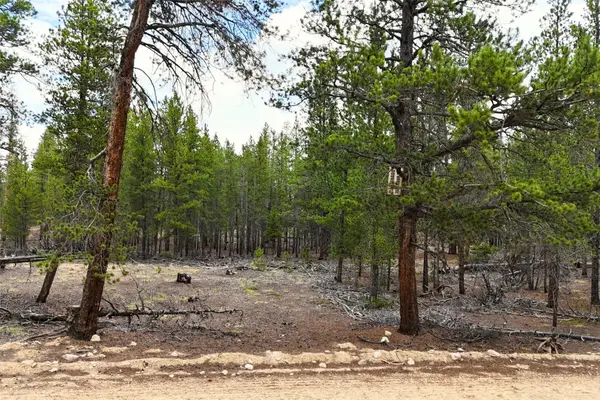 701 Cedar Drive, Leadville, CO 80461