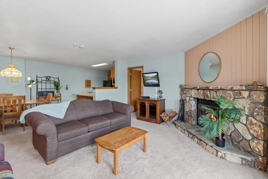 89310 Ryan Gulch Road #201, Silverthorne, CO 80498 - #3