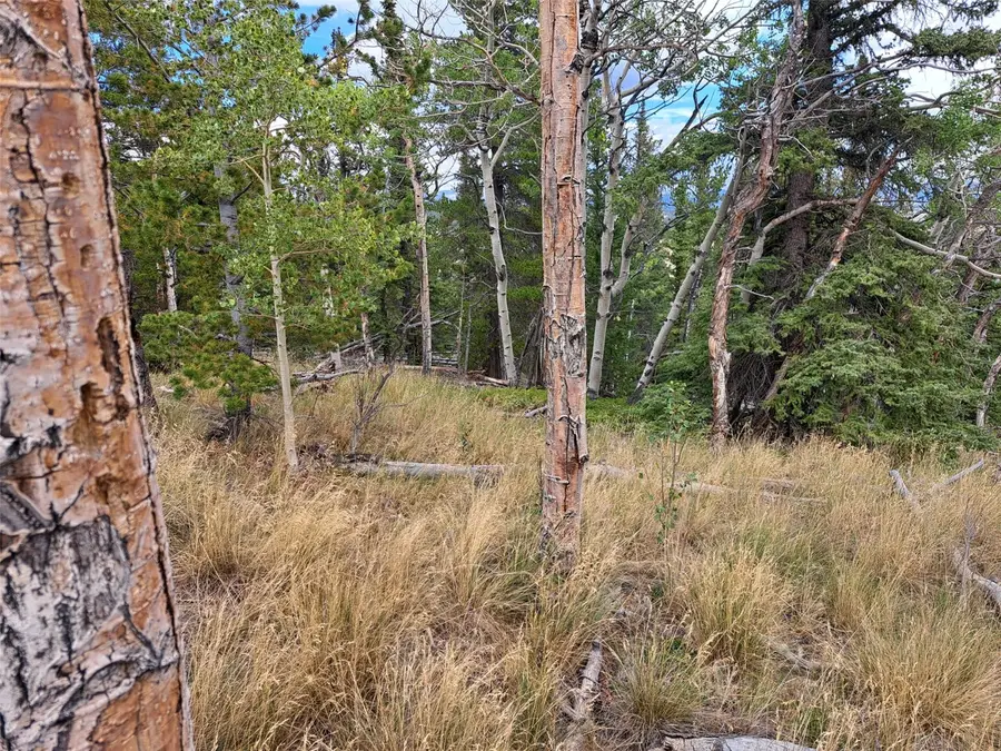 1844 High Creek Road, Fairplay, CO 80440 - #2