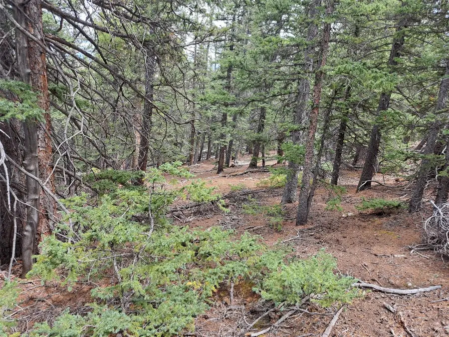 1844 High Creek Road, Fairplay, CO 80440 - #3